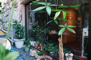 華之家 日式和室房 203 Airbnb 照片 005