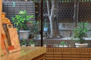 華之家 經典雙人房 305 Airbnb 照片 022