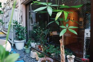 華之家 優雅單人房 101 Airbnb 照片 033